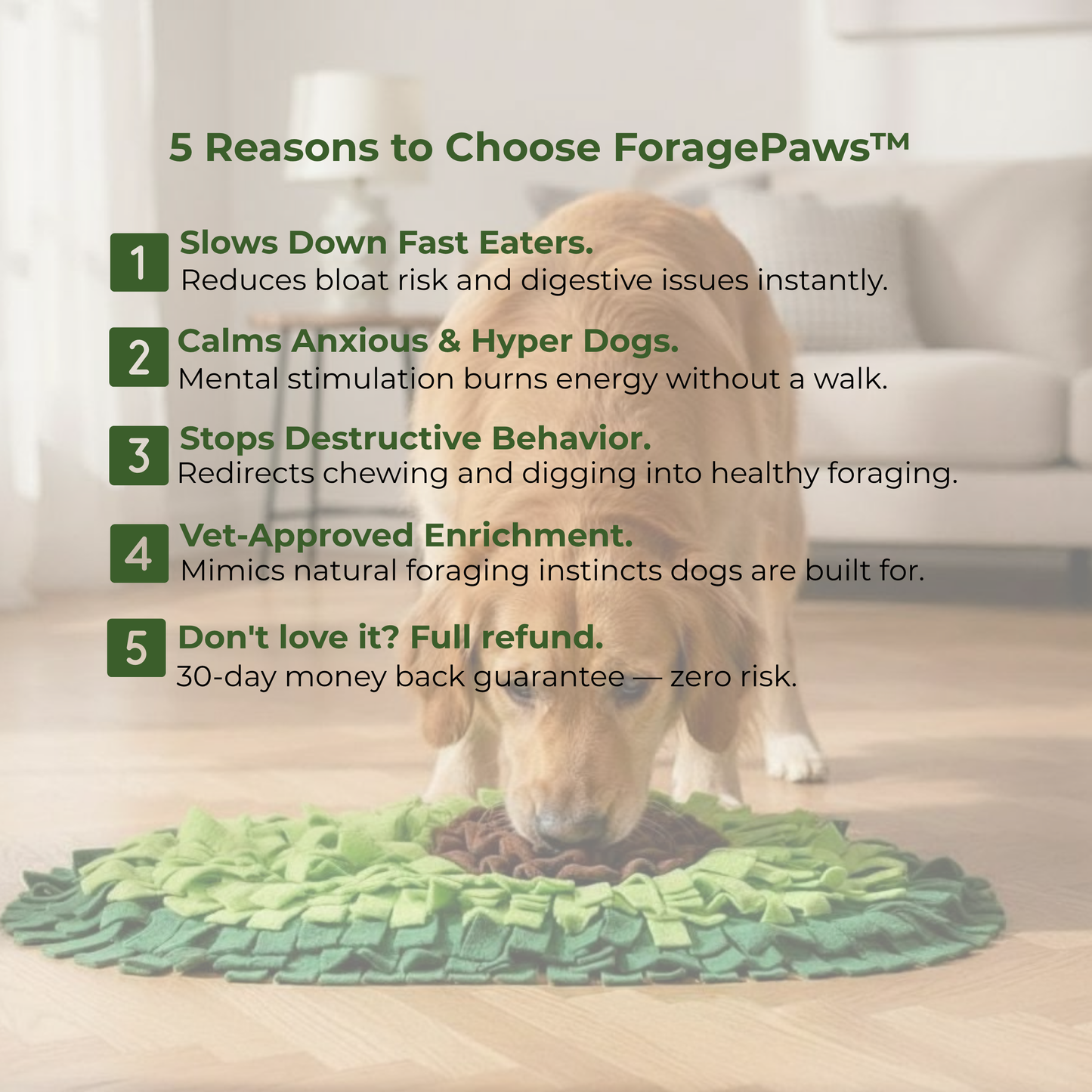 ForagePaws™