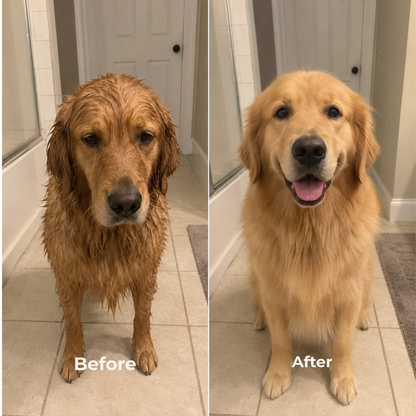 MudMelt Paws™