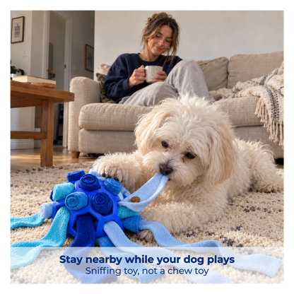 Rootle Snuffle Ball